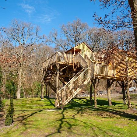 Oakside Tree Tops Кентърбъри Екстериор снимка