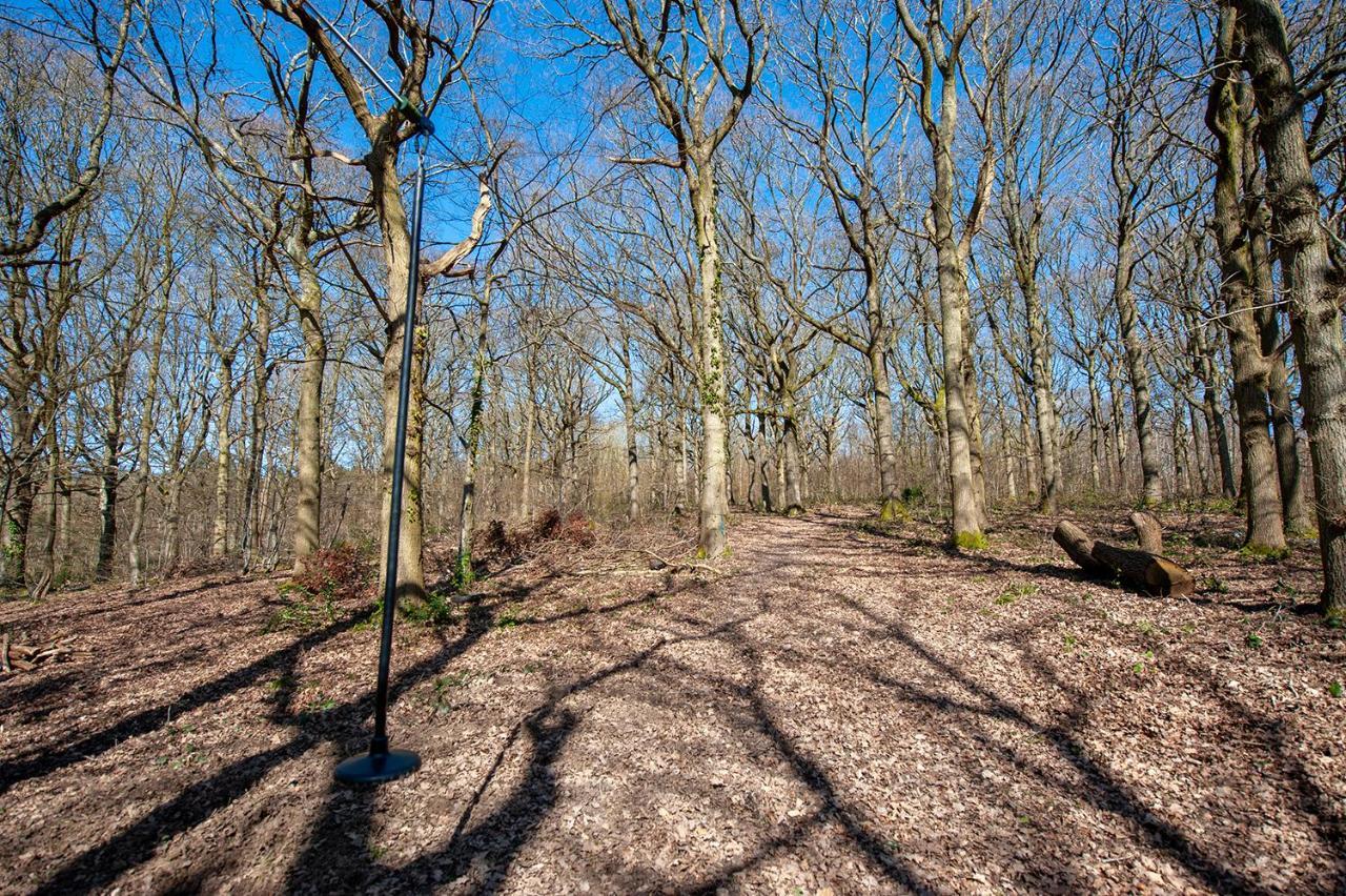 Oakside Tree Tops Кентърбъри Екстериор снимка