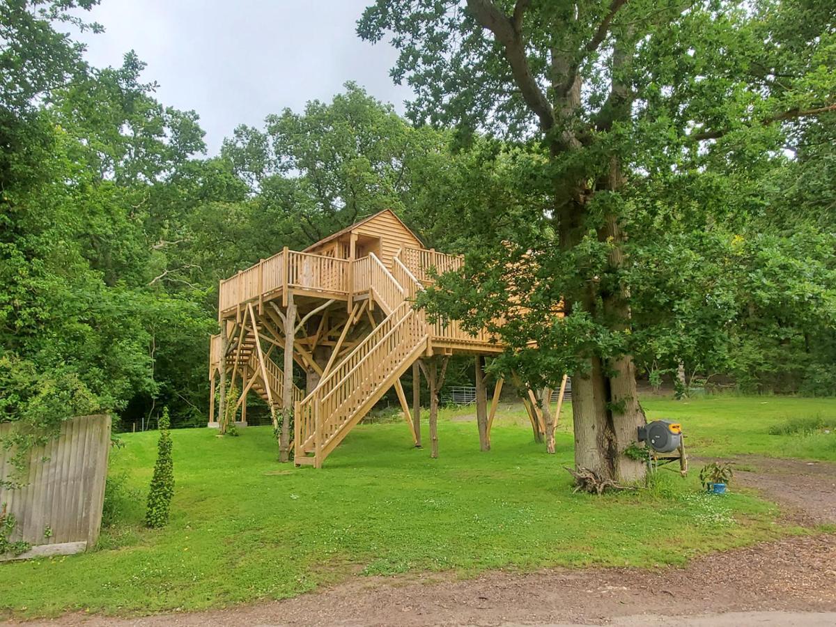 Oakside Tree Tops Кентърбъри Екстериор снимка